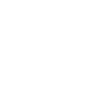 VelvetStorms Logo